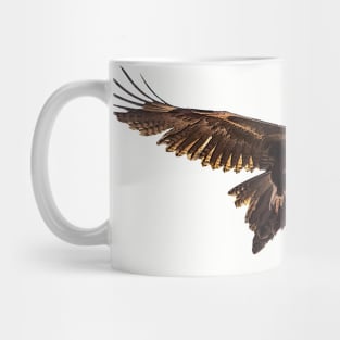 Wedgetail Eagle_01C Mug